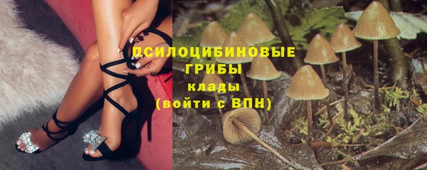 спиды Алзамай